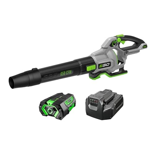 The Best Leaf Blower