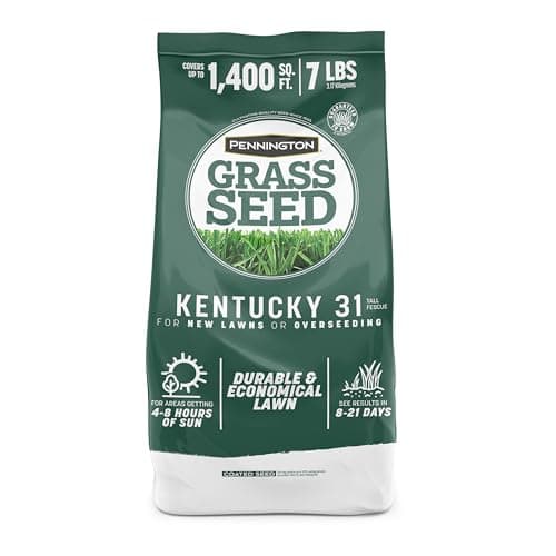 Pennington Pennington Kentucky 31 Tall Fescue (7 lb)