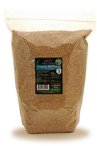 Eretz Eretz Creeping Red Fine Fescue (5 lb)