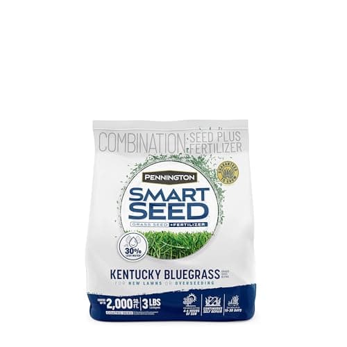 Pennington Pennington Smart Seed Kentucky Bluegrass Blend (3 lb)