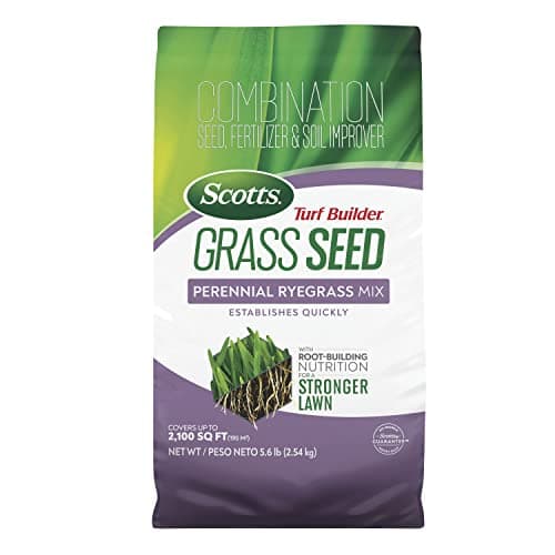 Scotts Scotts Turf Builder Perennial Ryegrass Mix (5.6 lb)