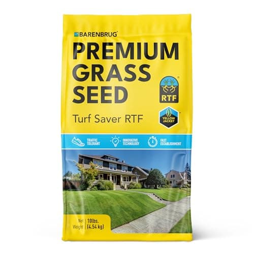 The Best Grass Seed