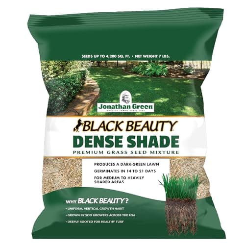 The Best Grass Seed for Shade