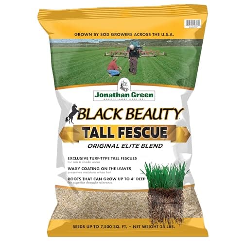 Jonathan Green Jonathan Green Black Beauty Tall Fescue Blend (25 lb)