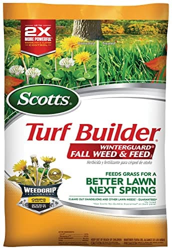 The Best Weed and Feed